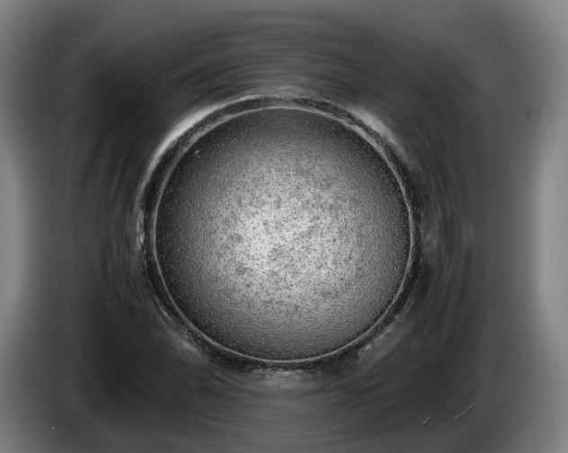 X0000086761070200704201740