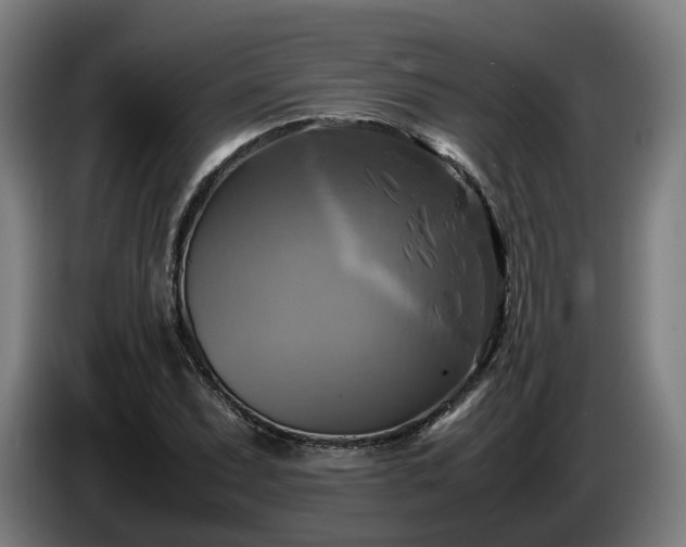 X0000086761071200704201740