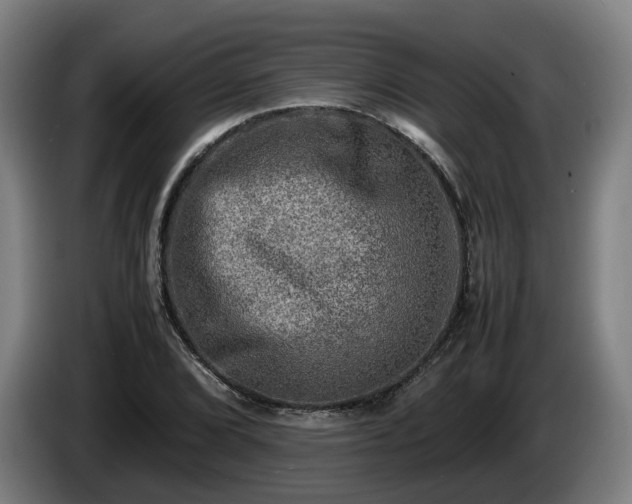X0000086761072200704201740