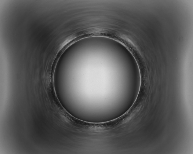 X0000086761073200704201740