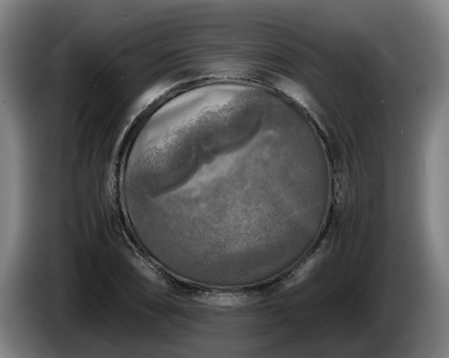 X0000086761074200704201740