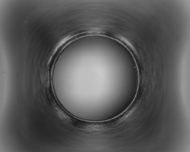 X0000086761075200704201740