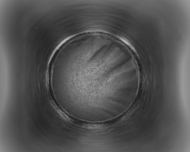 X0000086761076200704201740