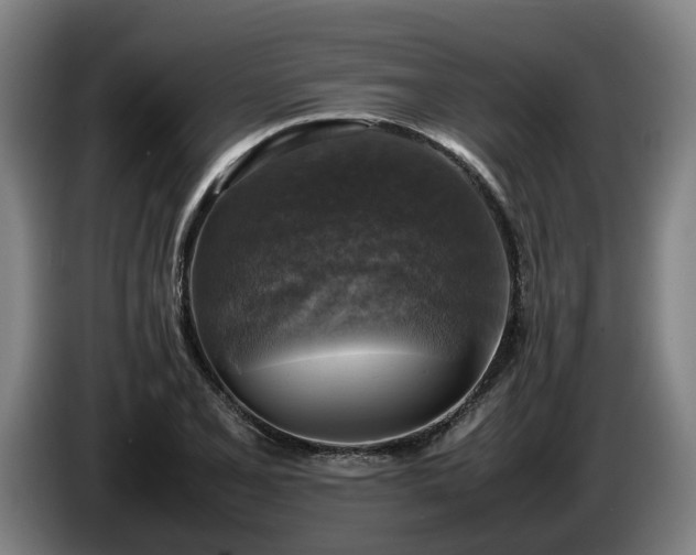 X0000086761077200704201740