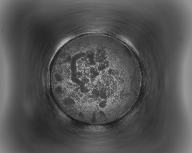 X0000086761079200704201740