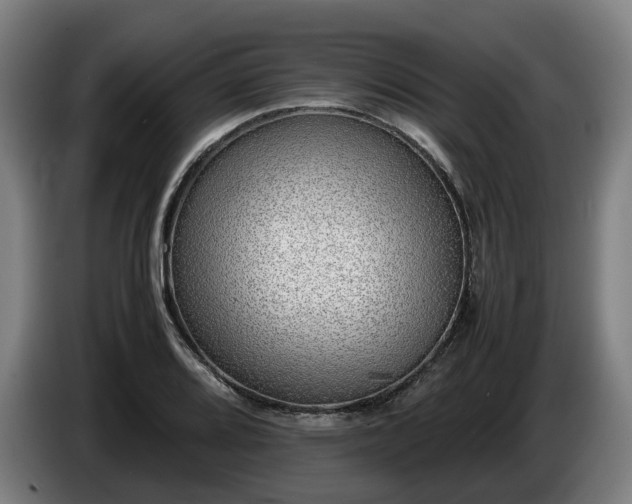 X0000086761080200704201740