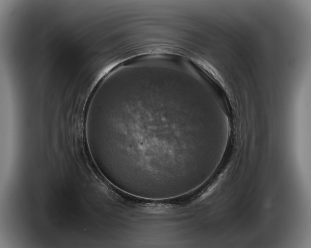 X0000086761081200704201740