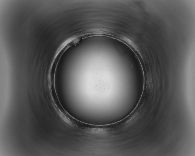 X0000086761082200704201740