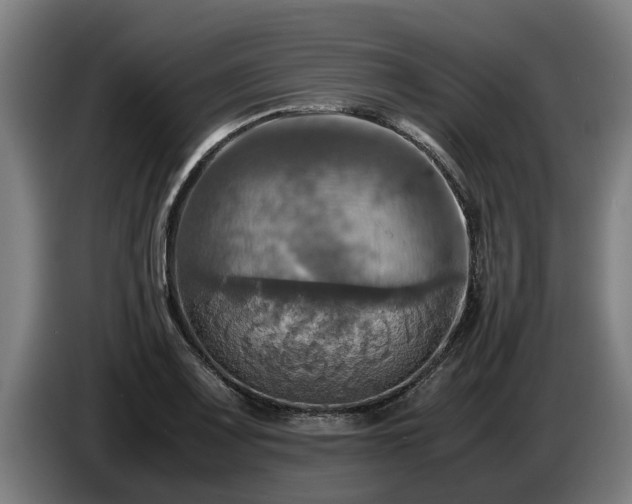 X0000086761083200704201740