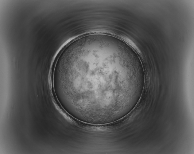 X0000086761084200704201740