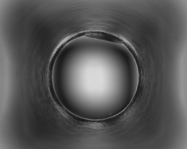 X0000086761085200704201740