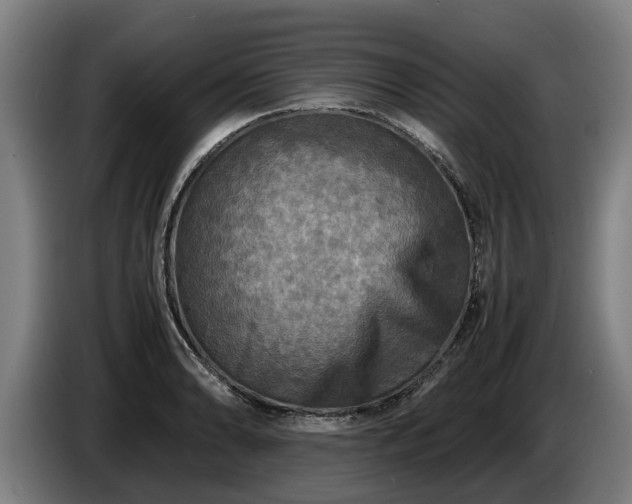 X0000086761086200704201740