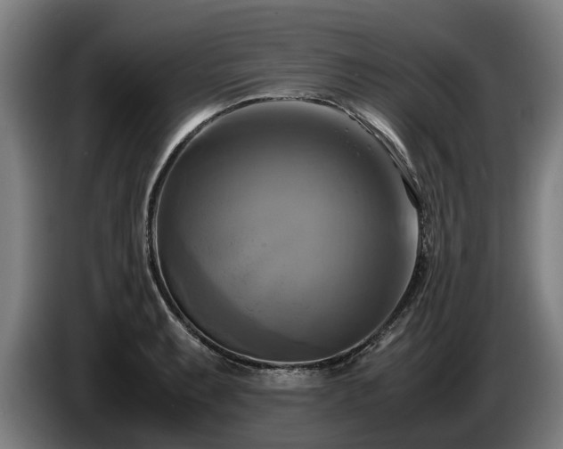 X0000086761087200704201740