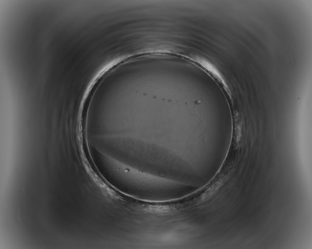X0000086761088200704201740
