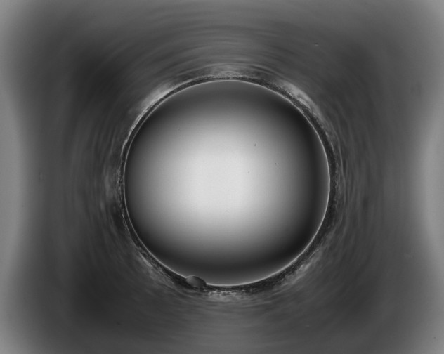 X0000086761089200704201740