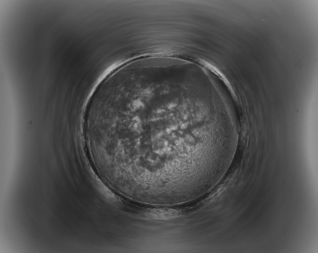 X0000086761091200704201740