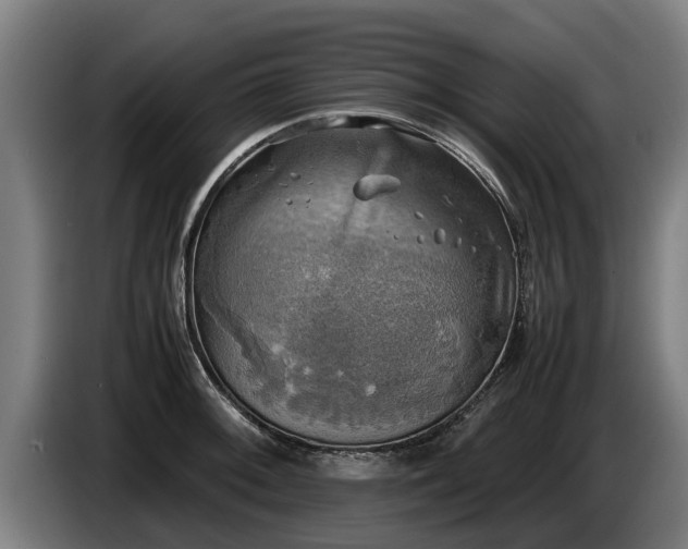 X0000086761092200704201740