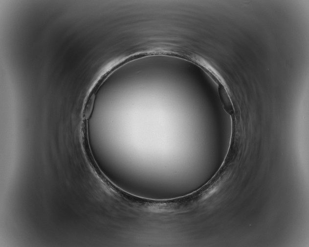 X0000086761093200704201740