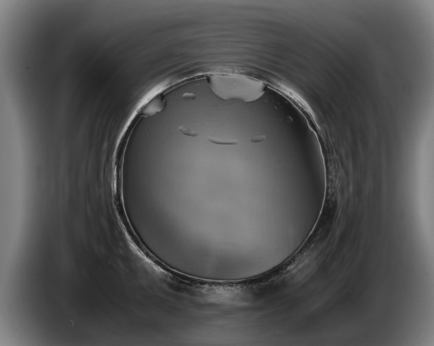 X0000086761095200704201740