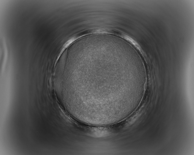 X0000086761097200704201740