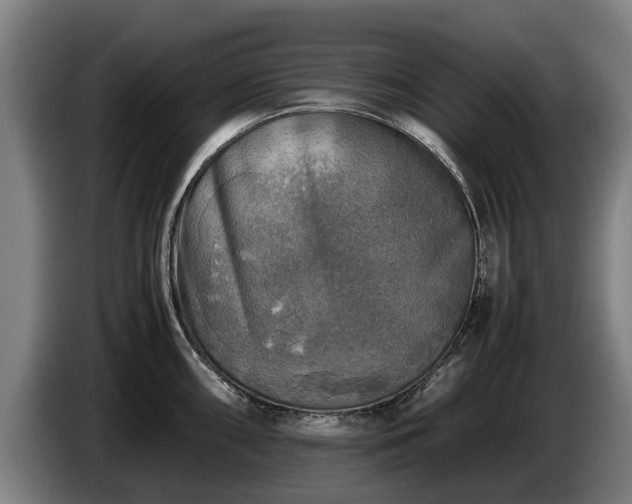 X0000086761098200704201740