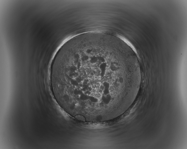 X0000086761099200704201740