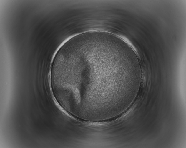 X0000086761100200704201740