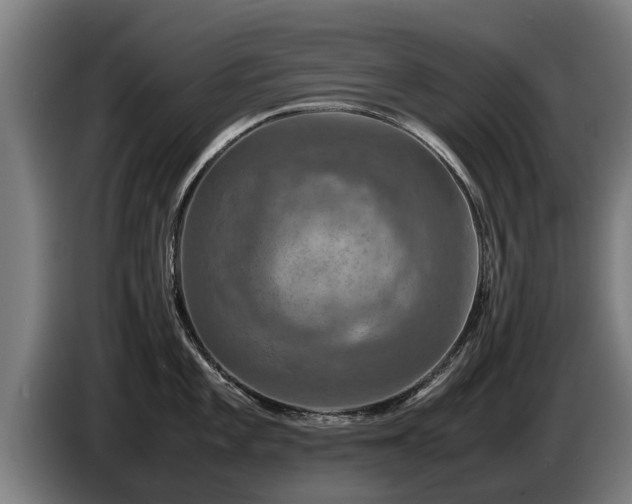 X0000086761101200704201740