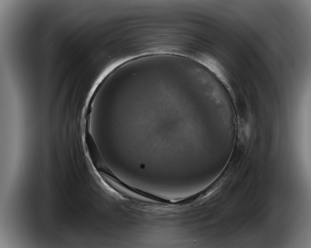 X0000086761102200704201740