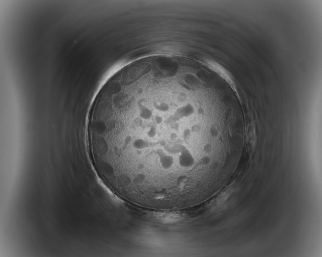 X0000086761103200704201740