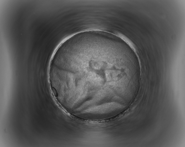X0000086761104200704201740