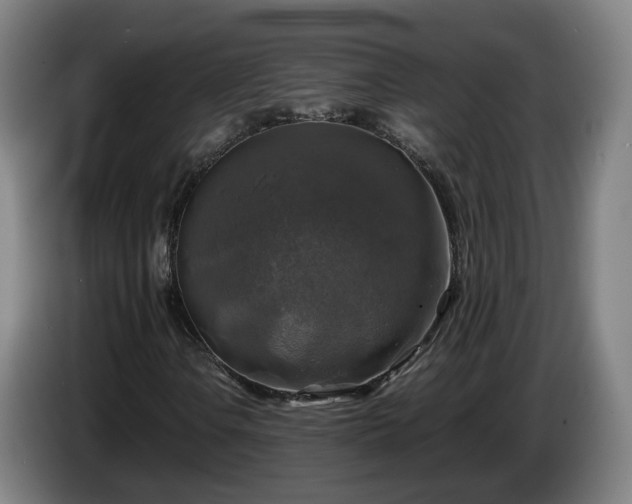 X0000086761106200704201739