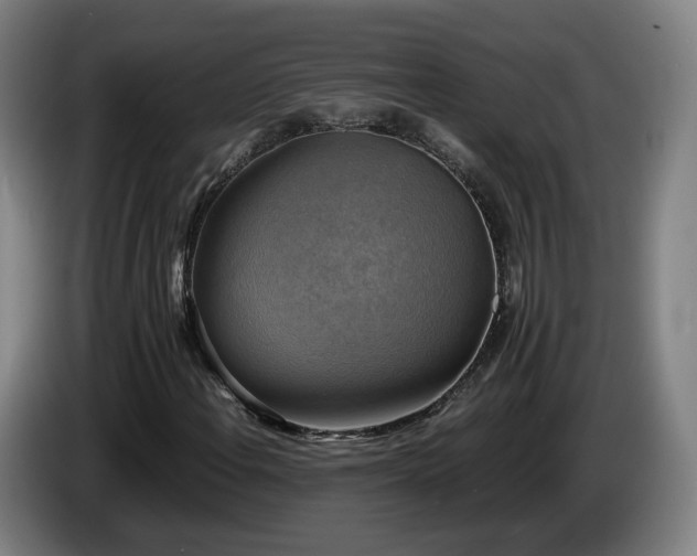 X0000086761108200704201739