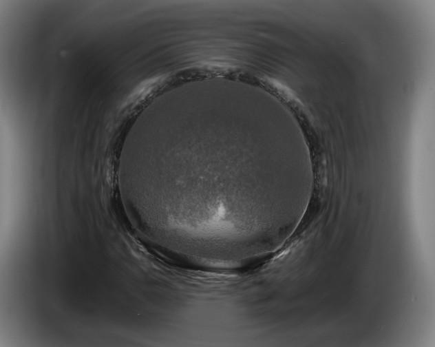 X0000086761110200704201739