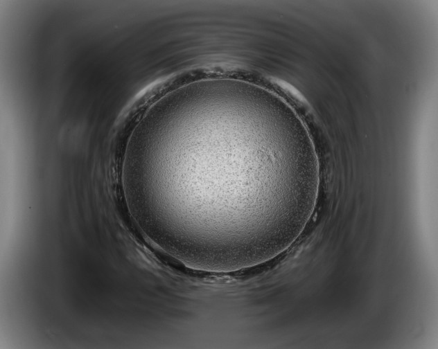 X0000086761112200704201740
