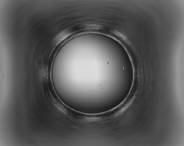 X0000086761113200704201740