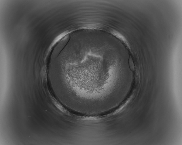 X0000086761114200704201740