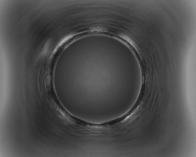 X0000086761115200704201740