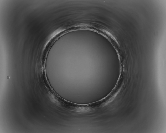 X0000086761117200704201740