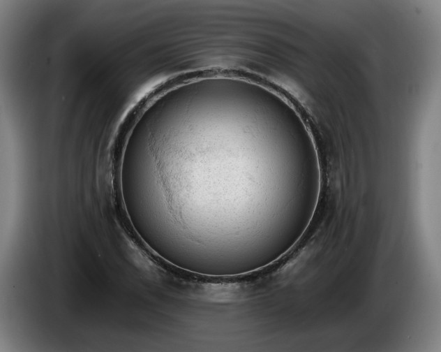 X0000086761118200704201740