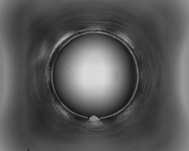 X0000086761119200704201740