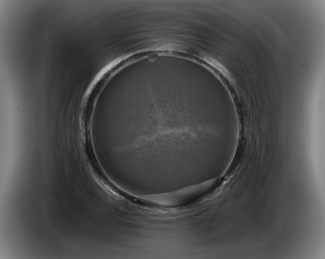 X0000086761120200704201740