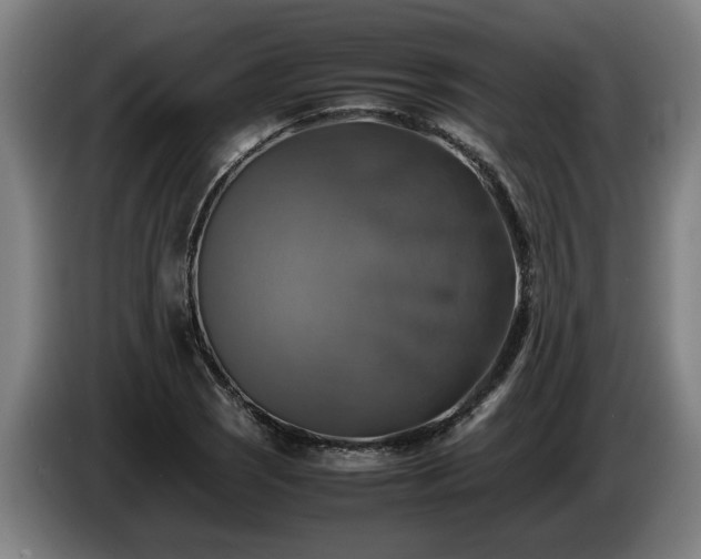 X0000086761121200704201740