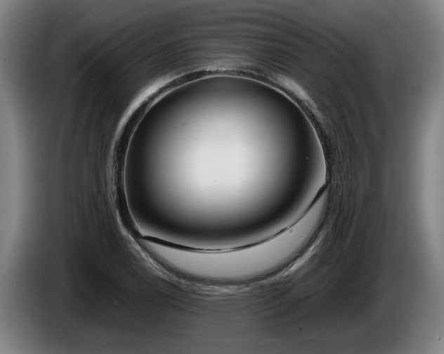 X0000086761122200704201740
