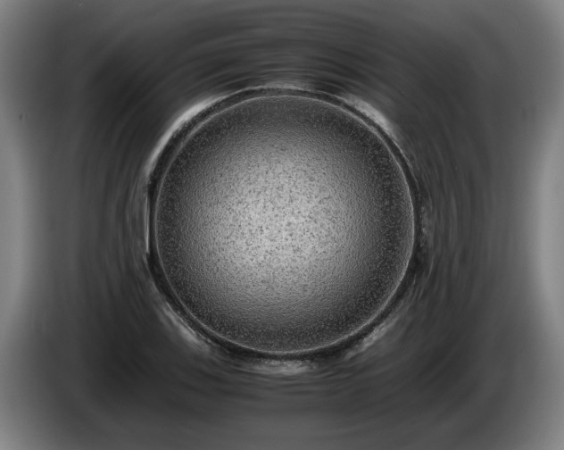 X0000086761123200704201740