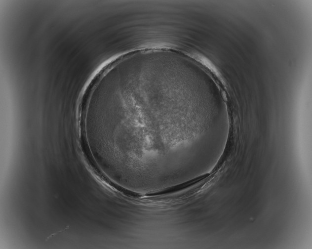X0000086761124200704201740