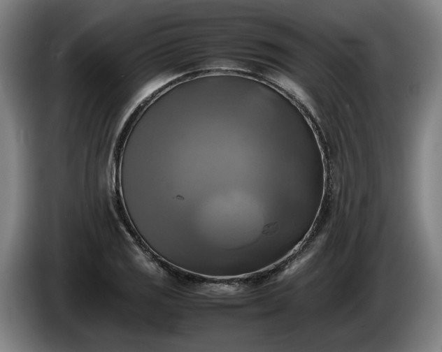X0000086761125200704201740