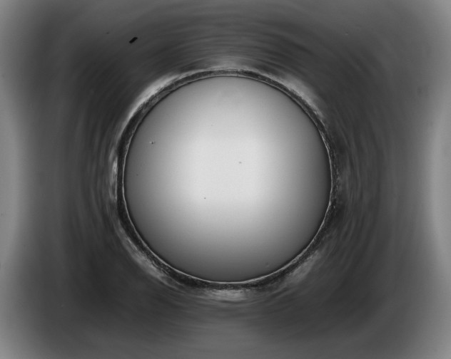 X0000086761126200704201740