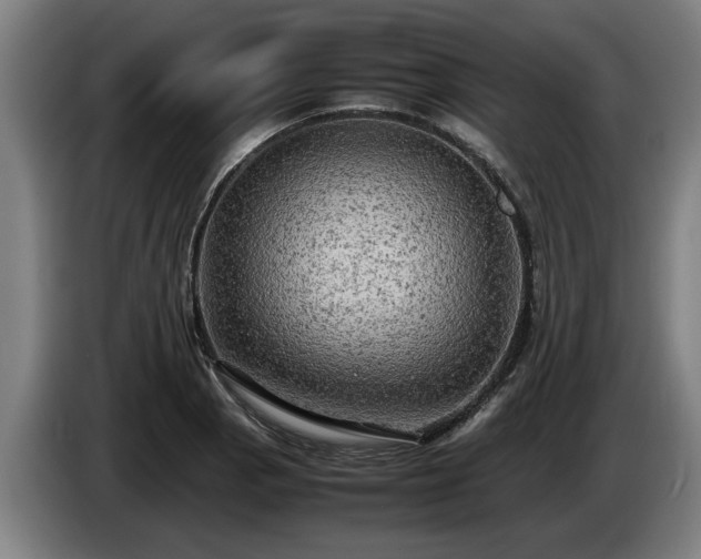X0000086761129200704201740