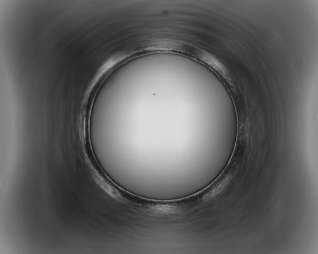 X0000086761130200704201740